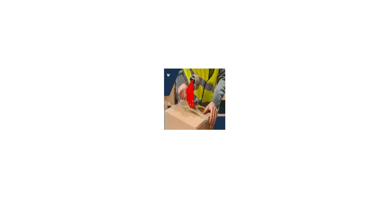 Online Shop Fanni