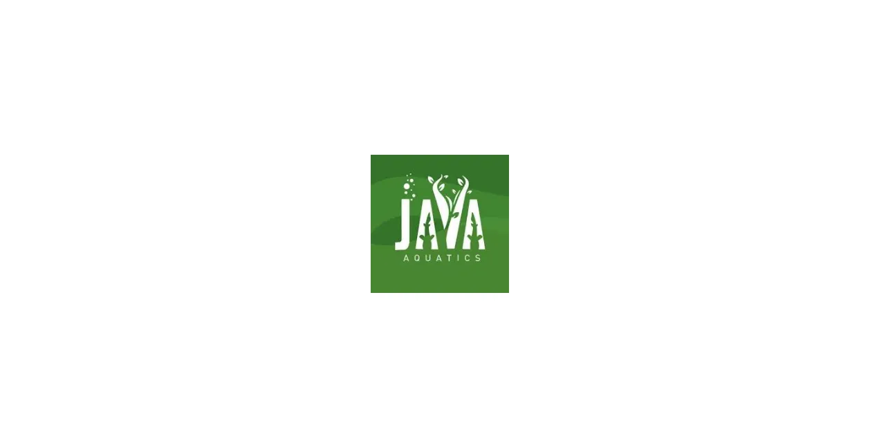 Java Fresh Aquatic