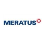 PT Meratus Line & Group